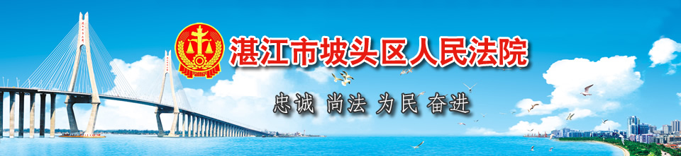 湛江市坡头区人民法院